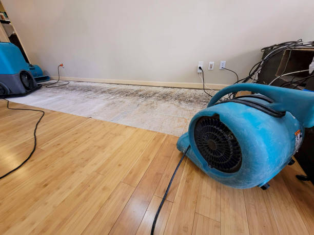 Professional Sewage Cleanup technician working in Grandin, ND